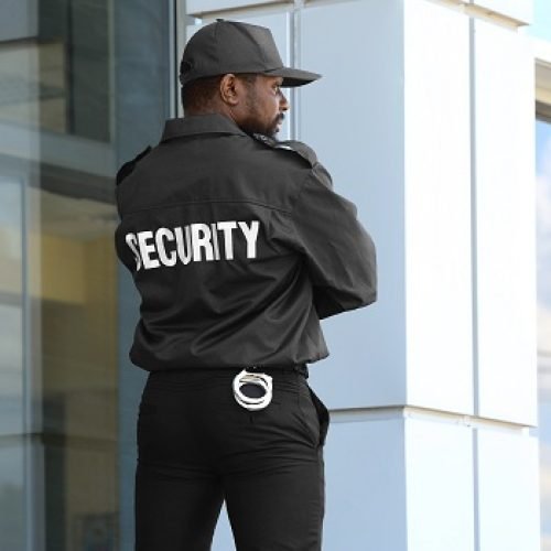 Professional security guards protecting a business building