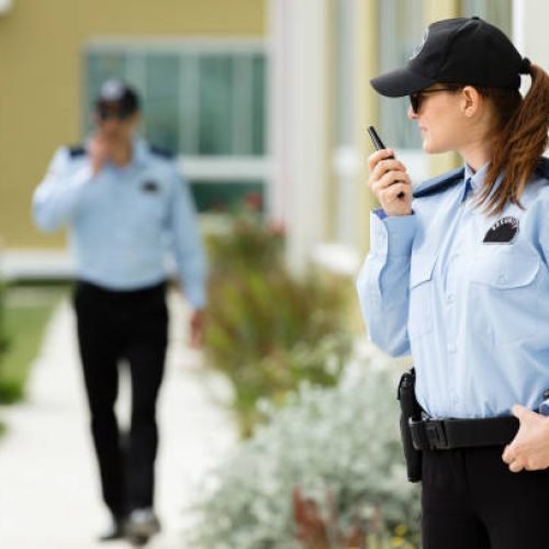 Office security professional monitoring a corporate workplace