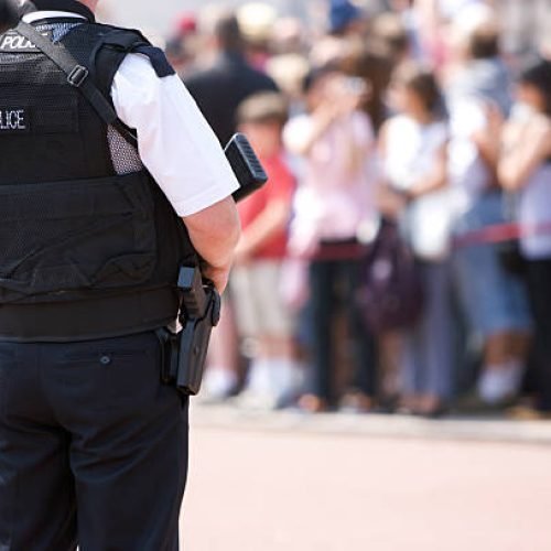Security team managing a large event crowd
